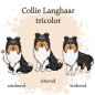 Preview: Motivauswahl für die Impfpasshülle Collie Langhaar tri color